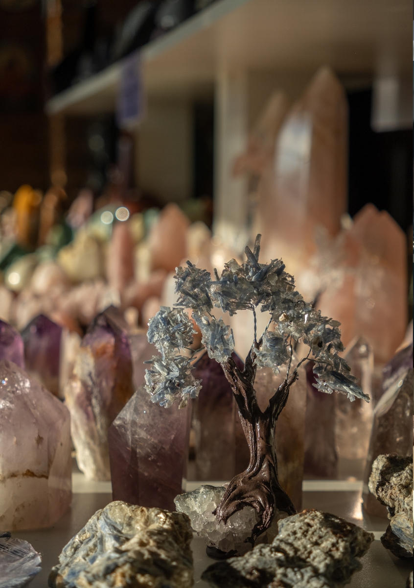Árvore de cianita entre pontas de ametista e quartzo rosa